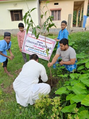For a Better Nature: Plant Trees
