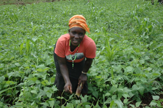 Women fighting Climate Change through Agroecology