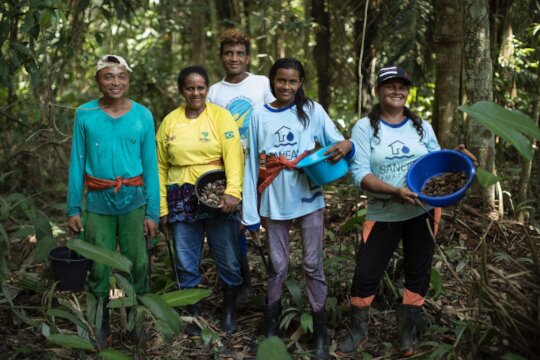 New opportunity to help the Amazon Rainforest!