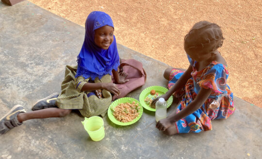 Responding to food and fuel shortages