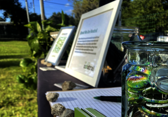 Support Environmental Education for Climate Action