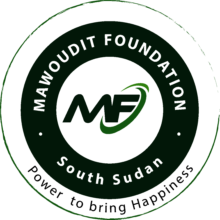 Rebuild Lives: Flood Recovery in South Sudan