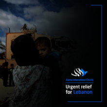 Lebanon Emergency Relief