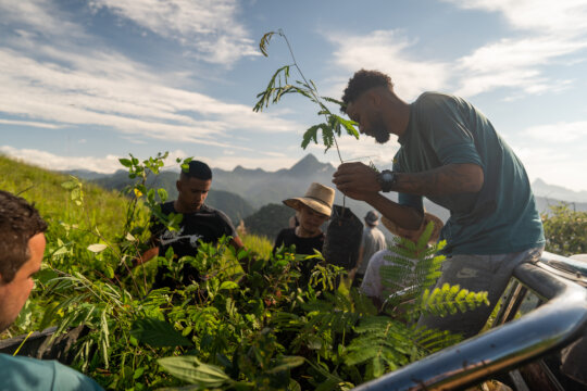 Shaping Atlantic Rainforest Ecological Corridor