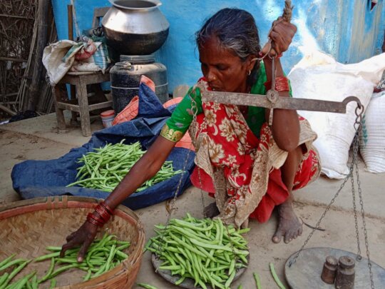 Nourishing Nepal: Food Security and Income Farming