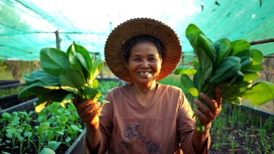 Food Security for Rural Elderly in Thailand