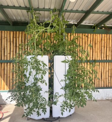 Building a Climate-Smart Zone Together