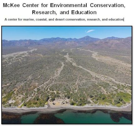 Nurturing environmental values in BCS Mexico