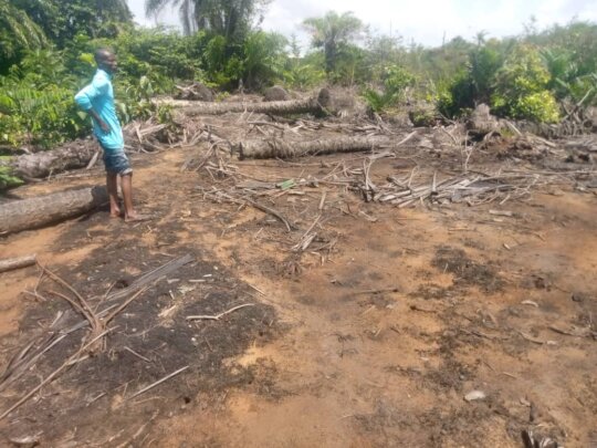 Newly purchased land for our Children Wellness