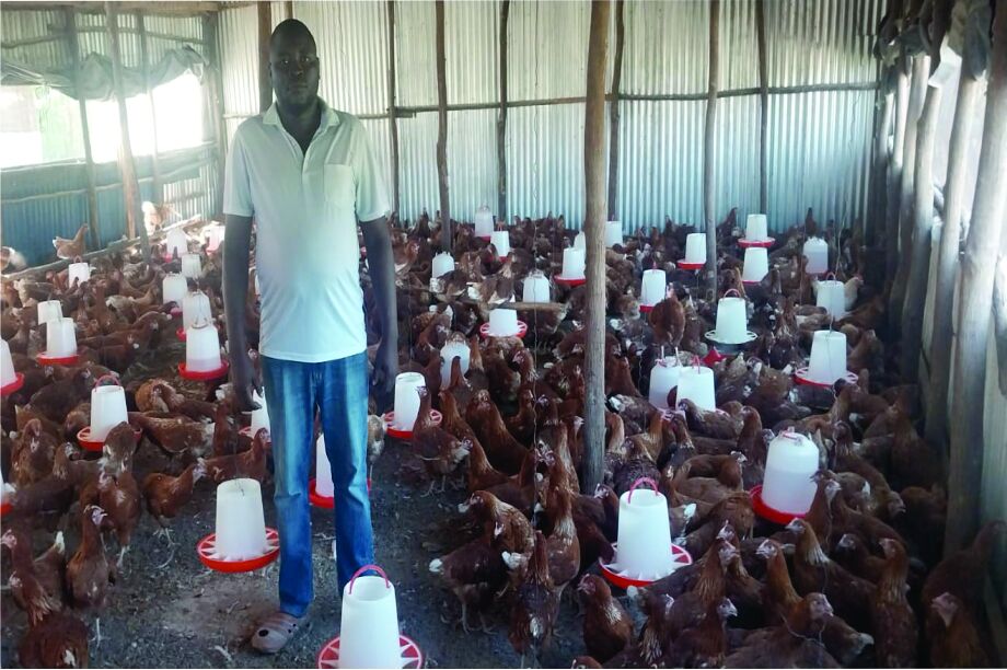 Support, Build 15Women Poultry Enterprise. - GlobalGiving