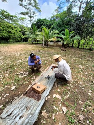 Panama rainforest stewardship & land purchase