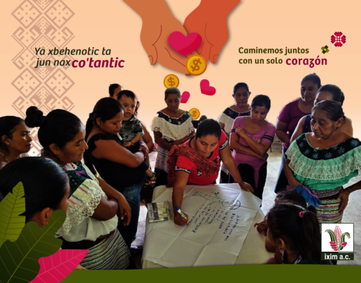 Empowering Mexico's Jungle:14 NativeWomenStart Up