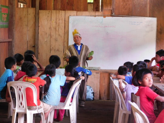 Help Monte Carmelo conserve Indigenous knowledge