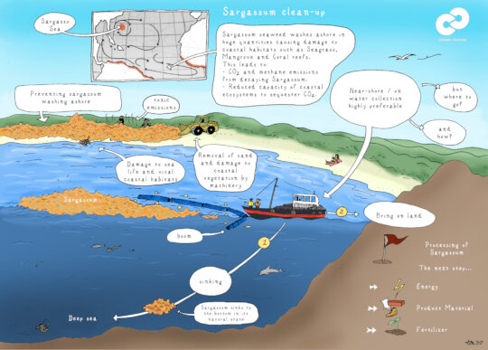 Sargassum Sinking Innovation