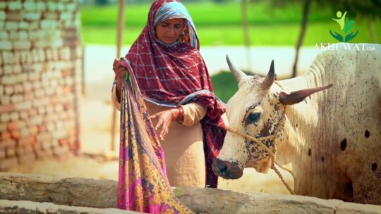 Thriving Women-Led Small Businesses