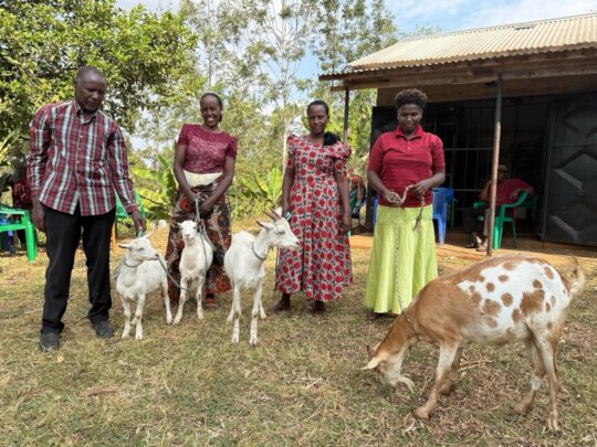 Dairy Goat Pass-On project for Tanzanian Farmers.