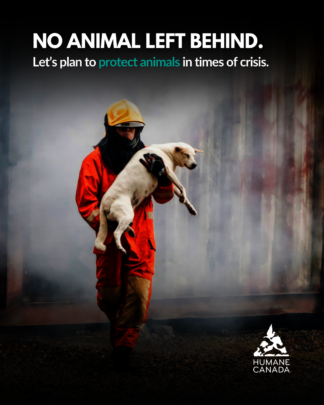 National Animal Emergency Response