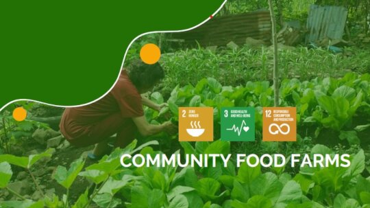Grow Food, Feed Hope: Support PH Community Farms