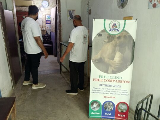 "Wounded & Alone-Stray Souls Need You in Pakistan"