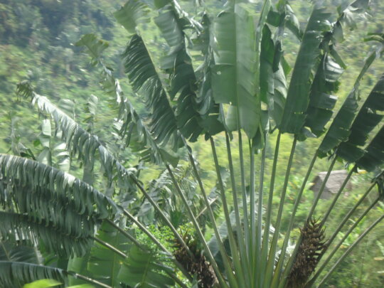 Acquiring New Skills For Today and Tomorrow