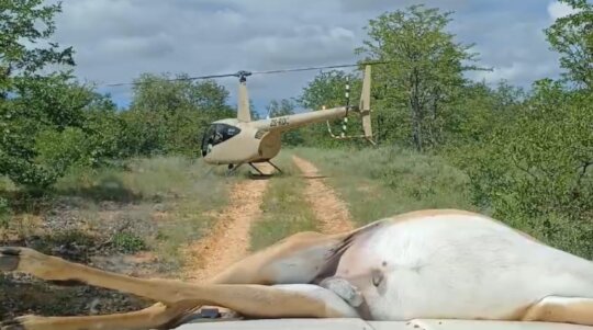 Help Fund Flights for Wildlife Protection