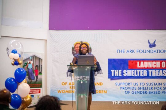 Help Her Stand Again: Shelter to Success