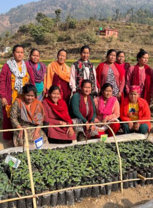 Give a livelihood support for 570 Marginal Women