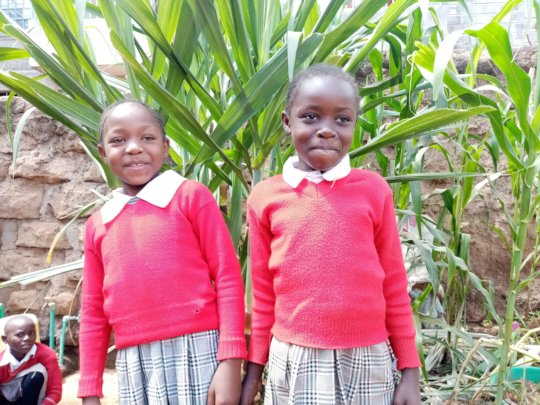Fees for 100 Junior Secondary School kids in Kenya