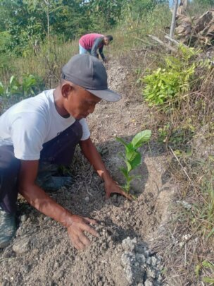 Plant 1.000.000 Trees in Indonesia Damaged Forest
