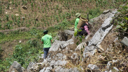 20 Years for Nature: Help us Continue Our Path