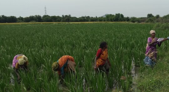 Empower WOMEN FARMERS in rural & tribal community