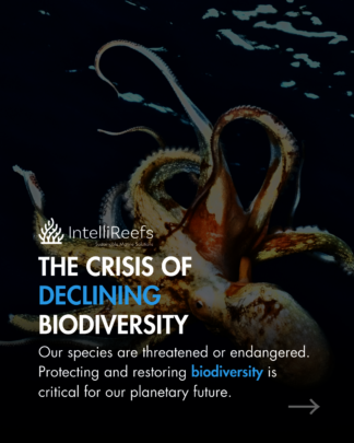 Blue Ocean Brain Trust Women in Ocean Science