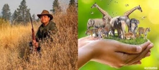 STOP - HUNTING THE WILDLIFE