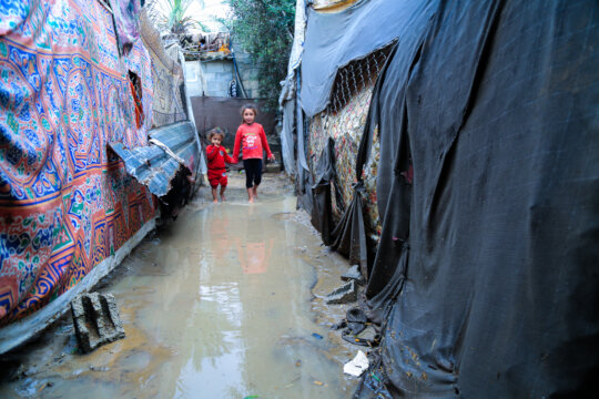 Giving Tuesday for Gaza - Share the Warmth