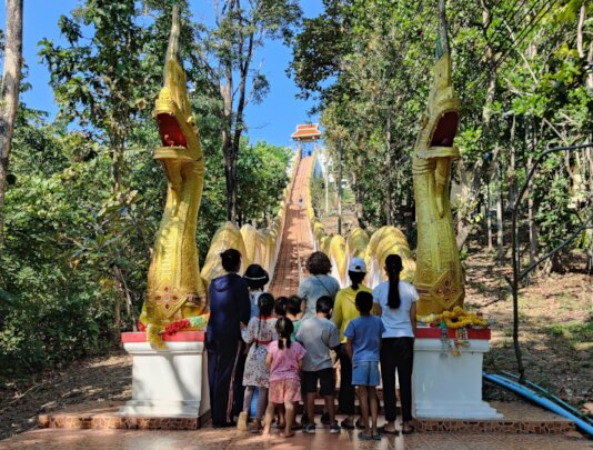 Connie's Home - A Group Foster Home - 2026 Budget