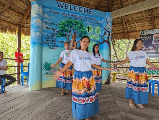 Help Suyac Island recover from typhoon Tino