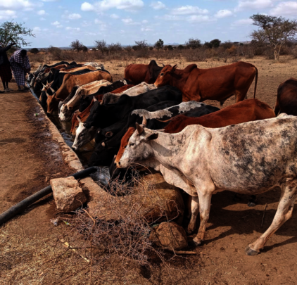 Upgrade water access for >2000 Maasai villagers