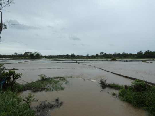 Flood Recovery Sri Lanka: Relief for farmers