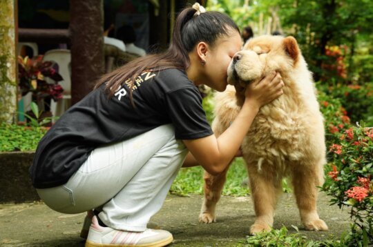 Healing Trauma Through Animal-Assisted Therapy