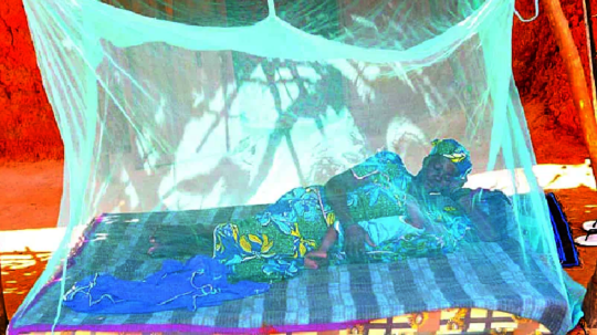 Knock Out Malaria: Distribute Treated Mosquito Net