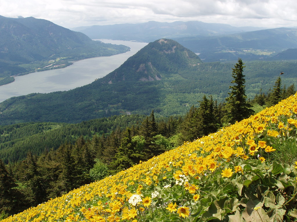 Preserve the Wonders of the Columbia GlobalGiving