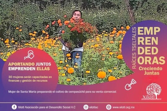 Emprendimientos femeninos indigenas en Chiapas