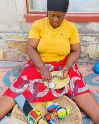 Jobs for 15 Women in South Africa, for Elephants!