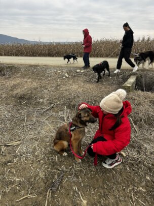 Safe Transport for Children and Rescued animals