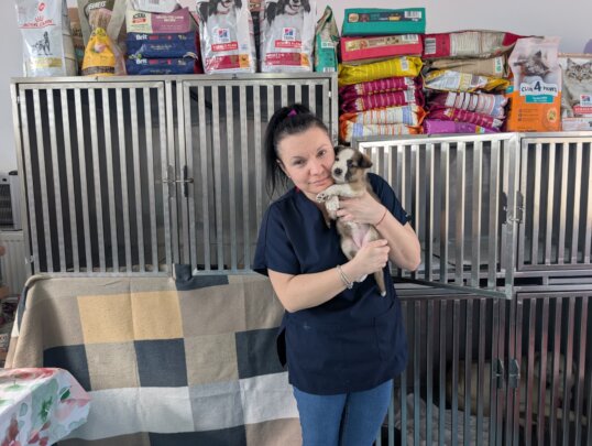 Healing Haven: Build a life-saving medical unit