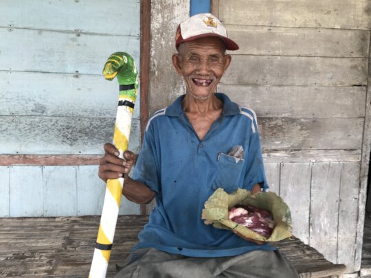 Meat for Healthier Elderly Lives