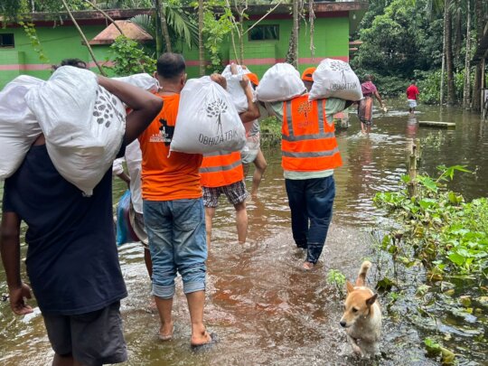When Disaster Strikes