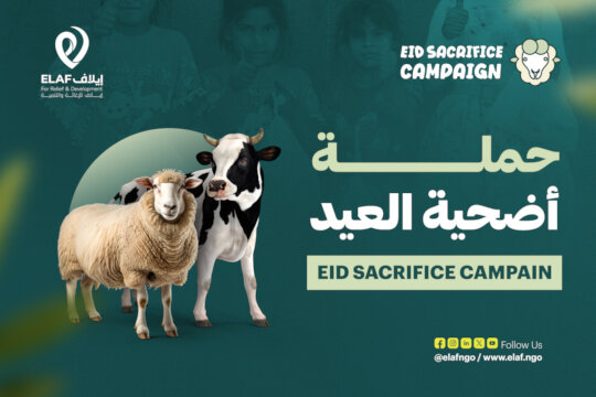 Qurbani for Syria 2026: Your Sacrifice, Their Hope
