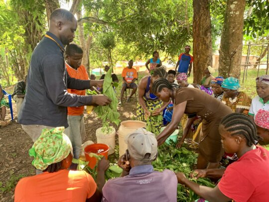 Strengthening Farmers' Adaptation in Liberia
