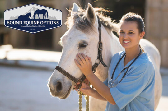 The Path to Recovery Starts with Veterinary Care